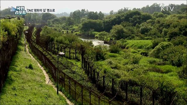 'DMZ 평화의 길' 명품길 만든다···7개 테마 노선 추가 개방