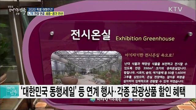 안전한 여행의 소중함, 2020 특별 여행주간