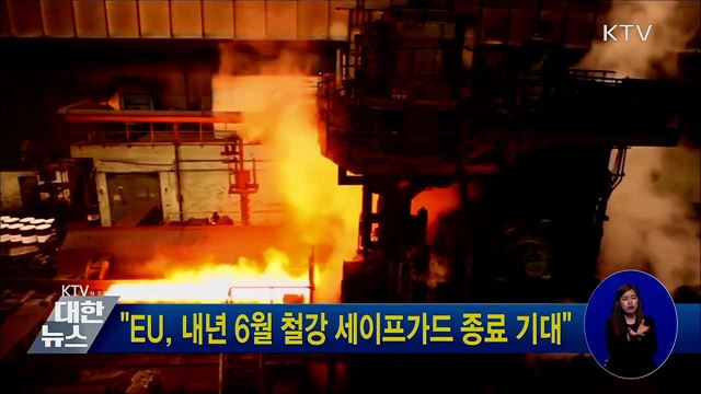 "EU, 내년 6월 철강 세이프가드 종료 기대"