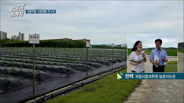 KTV 온라인 중계석 (36회)