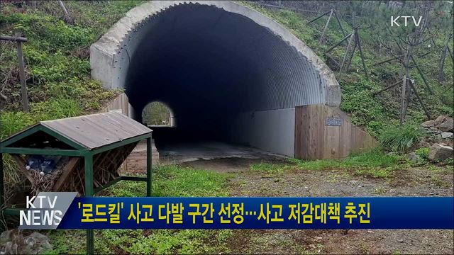 '로드킬' 사고 다발구간 선정···사고 저감대책 추진