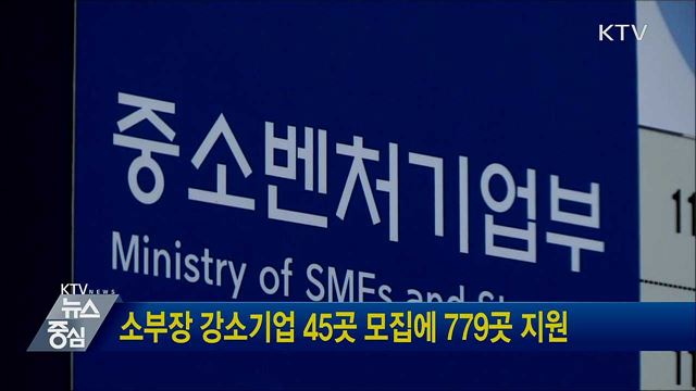 소부장 강소기업 45곳 모집에 779곳 지원