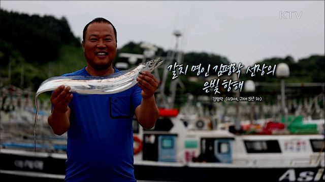 평락선장의 은빛 항해