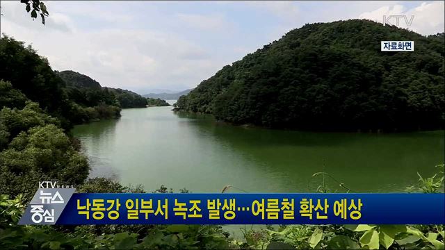 낙동강 일부서 녹조 발생···여름철 확산 예상