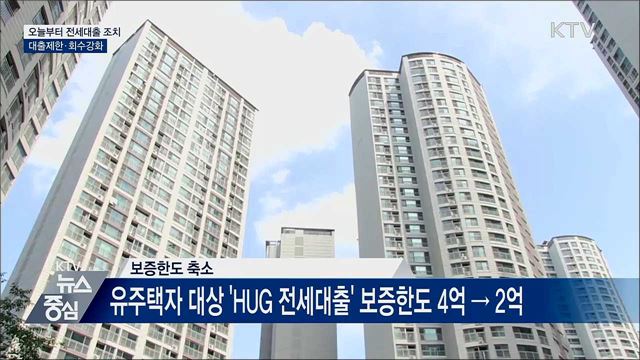 오늘부터 투기지역 3억 이상 아파트 전세대출 불가