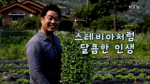 스테비아처럼 달콤한 인생