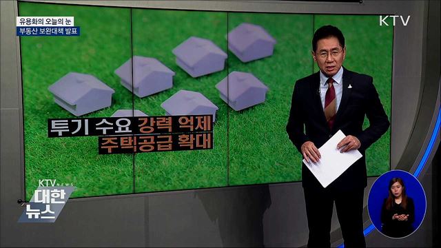 부동산 보완대책 발표 [유용화의 오늘의 눈]