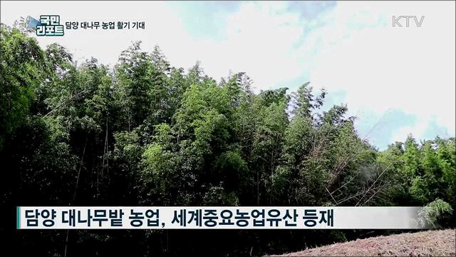 담양 대나무 농업 새로운 활기 기대