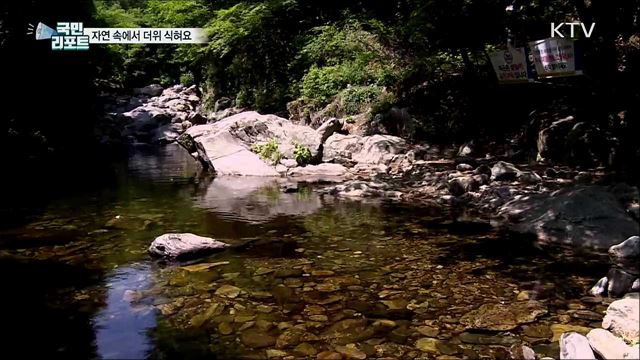 불법 시설 사라진 '청정 계곡'···건강한 여름 보내요