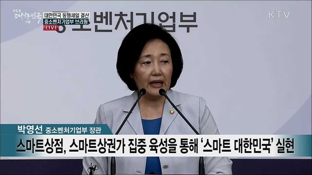 대한민국 동행세일 결산 중소벤처기업부 브리핑