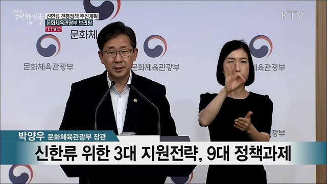 신한류 진흥정책 추진계획 문화체육관광부 브리핑