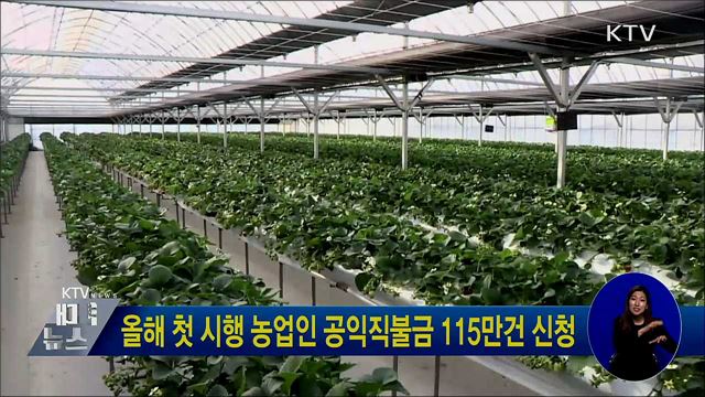 올해 첫 시행 농업인 공익직불금 115만건 신청