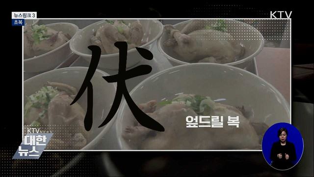 초복 [뉴스링크]