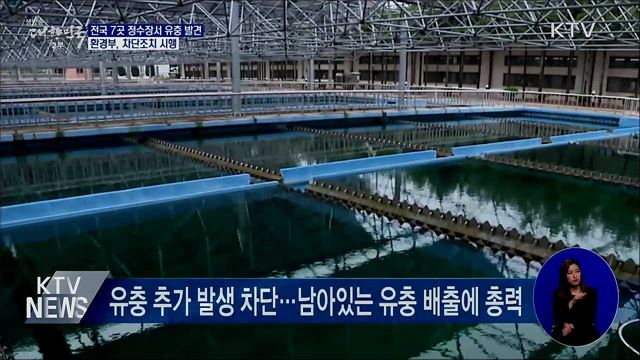 전국 7곳 정수장서 유충 발견···차단조치 시행