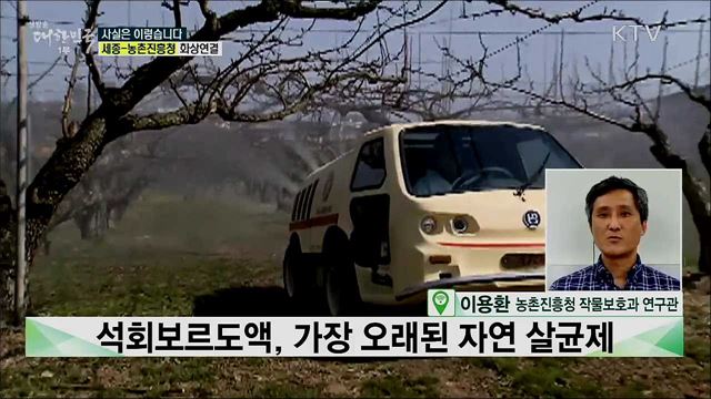 화상병···전파 속도와 피해 정도는? [사실은 이렇습니다]