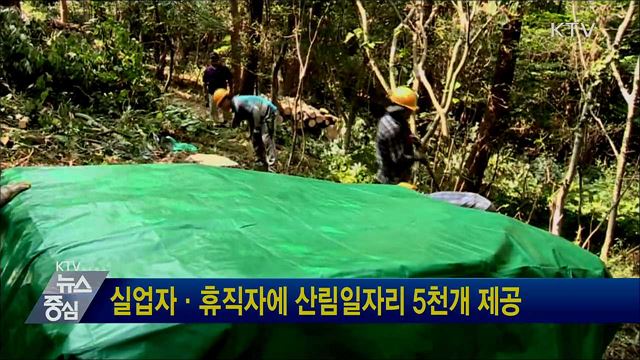 실업자·휴직자에 산림일자리 5천개 제공