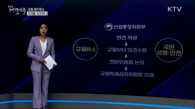 말로만 '혁신'? 규제 샌드박스, 처리율 저조하나 [사실은 이렇습니다]