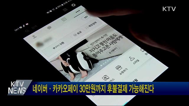 네이버·카카오페이 30만원까지 후불결제 가능해진다