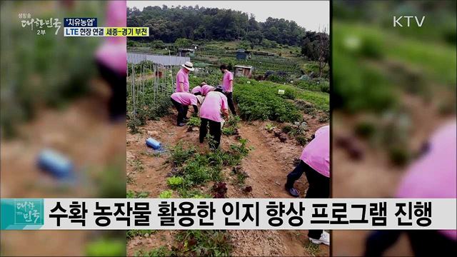 농촌자원 활용 치매 예방, '치유농업'