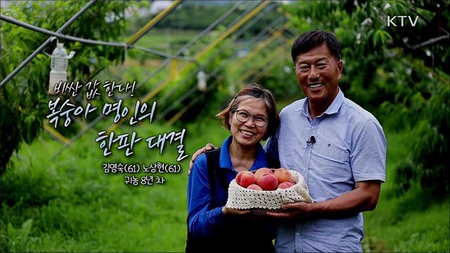 비싼 값 한다! 복숭아 명인의 한판 대결