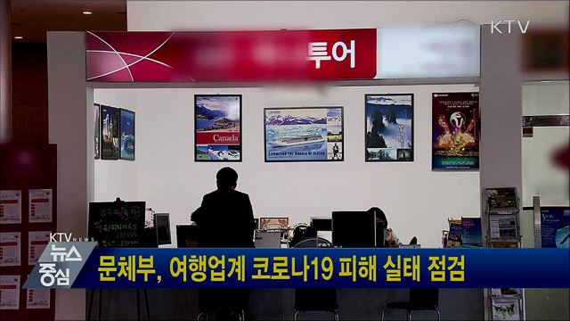 문체부, 여행업계 코로나19 피해 실태 점검