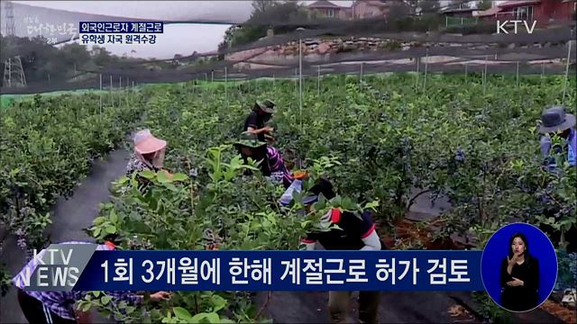 외국인근로자 계절근로···유학생 자국 원격수강