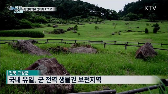 "천연세제 만들어 쓰며 생태계 지켜요"