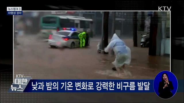 야행성 장마 [뉴스링크]