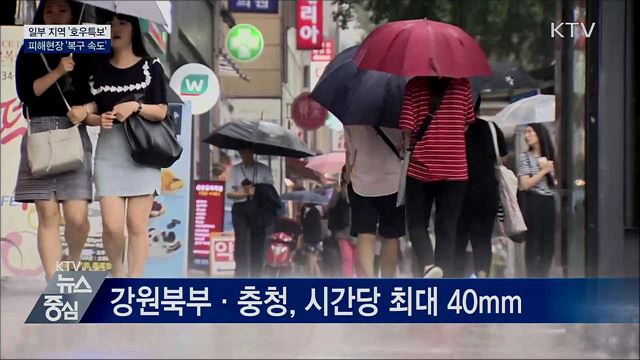 KTV 뉴스중심 (491회)