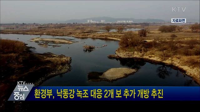 환경부, 낙동강 녹조 대응 2개 보 추가 개방 추진