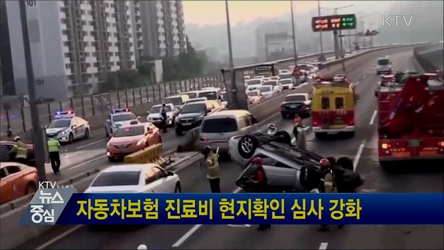 자동차보험 진료비 현지확인 심사 강화