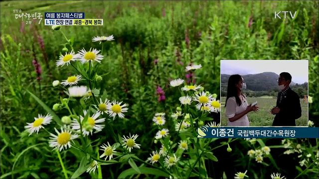 자생식물 관광축제, 여름 봉자페스티벌