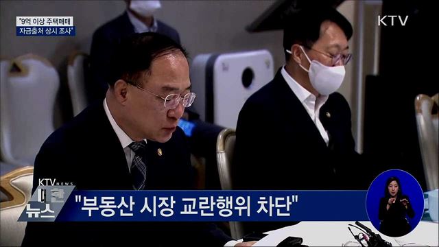 홍 부총리 "9억 이상 고가주택 자금출처 상시 조사"