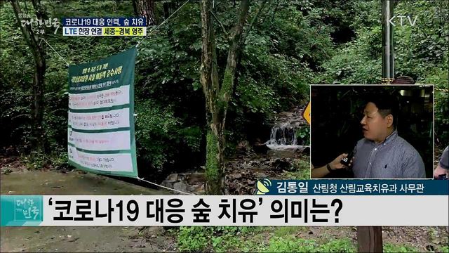 코로나19 대응 인력, 숲 치유