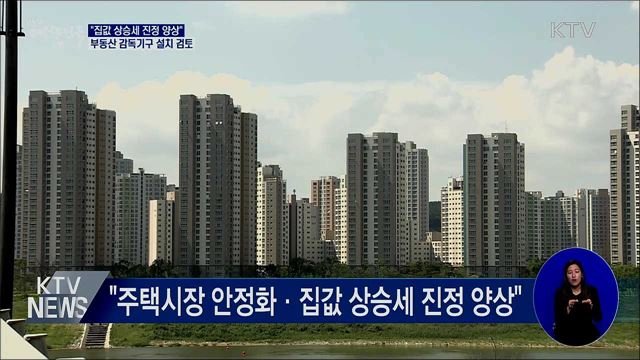 "집값 진정 양상···부동산 감독기구 설치 검토"