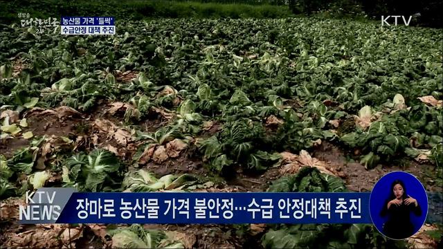 농산물 가격 '들썩'···수급안정 대책 추진