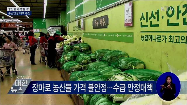 농산물 가격 '들썩'···수급안정 대책 추진
