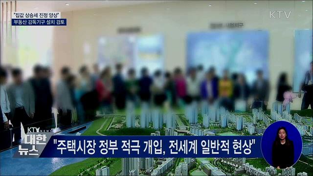 "집값 진정 양상···부동산 감독기구 설치 검토"