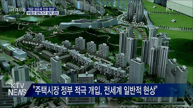 "집값 진정 양상···부동산 감독기구 설치 검토"