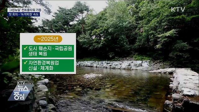 '그린뉴딜' 컨트롤타워 가동···'녹색복원' 속도