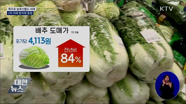 폭우로 농축산물도 피해···2차 피해 방지에 중점