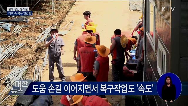 물에 잠긴 농작물···불볕더위 속 복구 안간힘