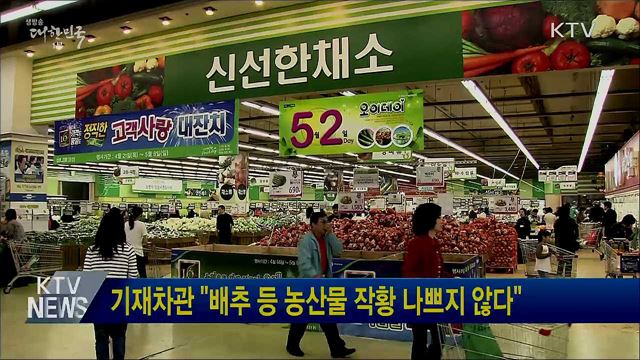 기재차관 "배추 등 농산물 작황 나쁘지 않다"