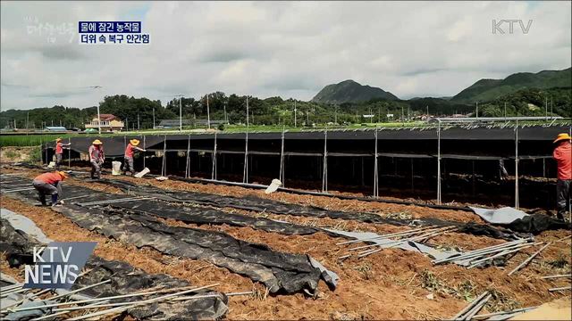 물에 잠긴 농작물···불볕더위 속 복구 안간힘