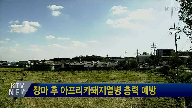 장마 후 아프리카돼지열병 총력 예방