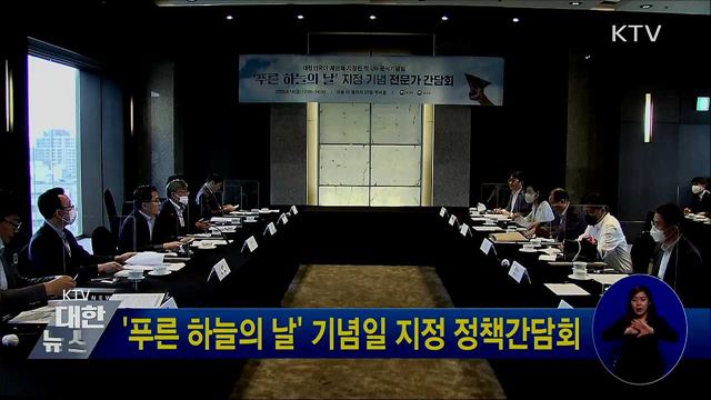 '푸른 하늘의 날' 기념일 지정 정책간담회