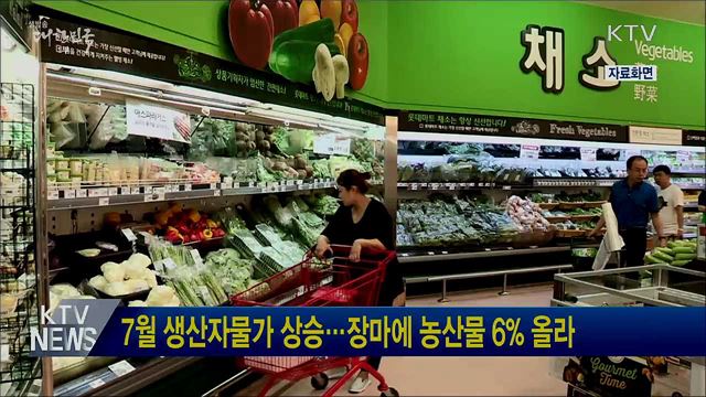 7월 생산자물가 상승···장마에 농산물 6% 올라