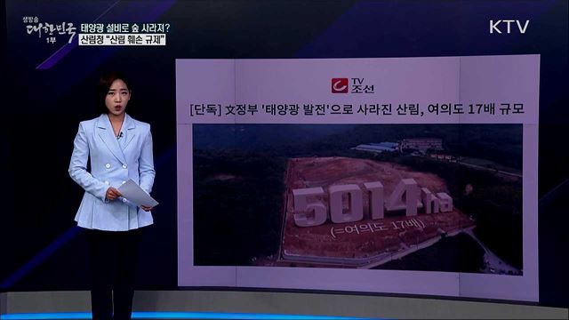 태양광으로 여의도 17배 숲 사라져? 산림청 "사실 아냐" [사실은 이렇습니다]