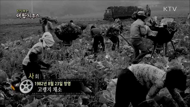 다시보는 대한늬우스 (82. 8. 23)