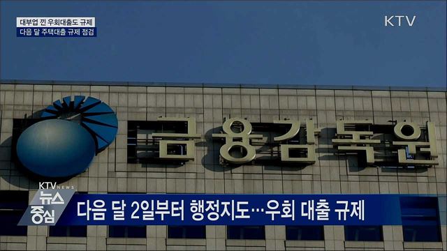 대부업자 통한 주담대 규제 우회 대출 금지